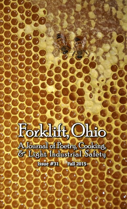 Forklift, Ohio Issue #31 (Fall 2015) - cover